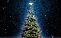 pic for Classic Christmas Tree With Star On Top 